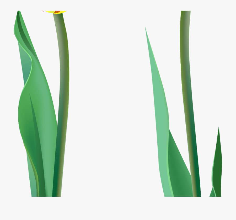 Spring Flower Svg Royalty Free Free Techflourish Collections - Agave, Transparent Clipart