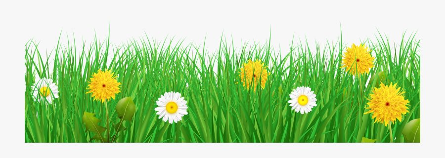 Transparent Grass Border Clipart - Grass And Flowers Clipart, Transparent Clipart