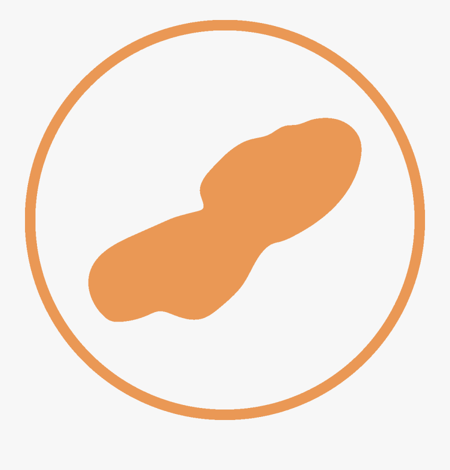 Otter Tail Lake, Transparent Clipart