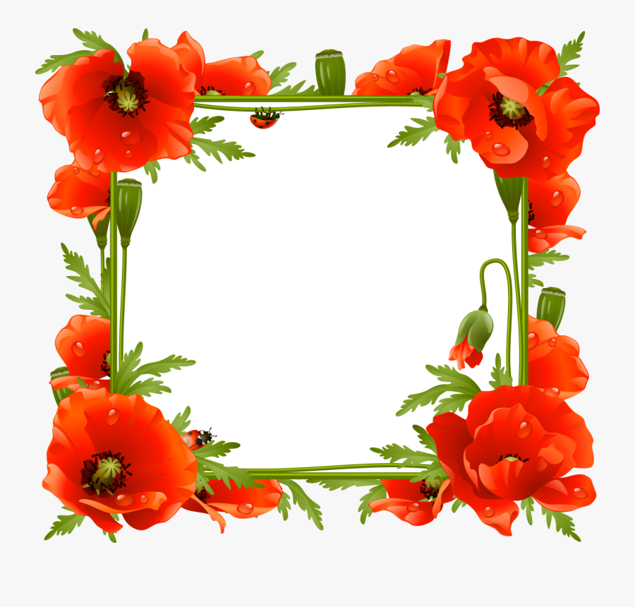 Poppies Frame Clipart , Png Download - Poppy Frame Png, Transparent Clipart