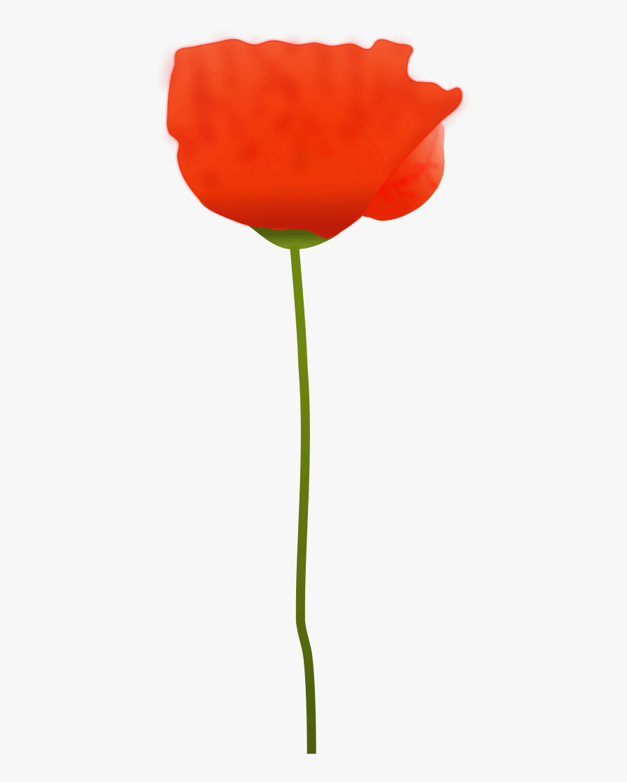 Poppy Flower - Remembrance Single Clipart Poppy, Transparent Clipart