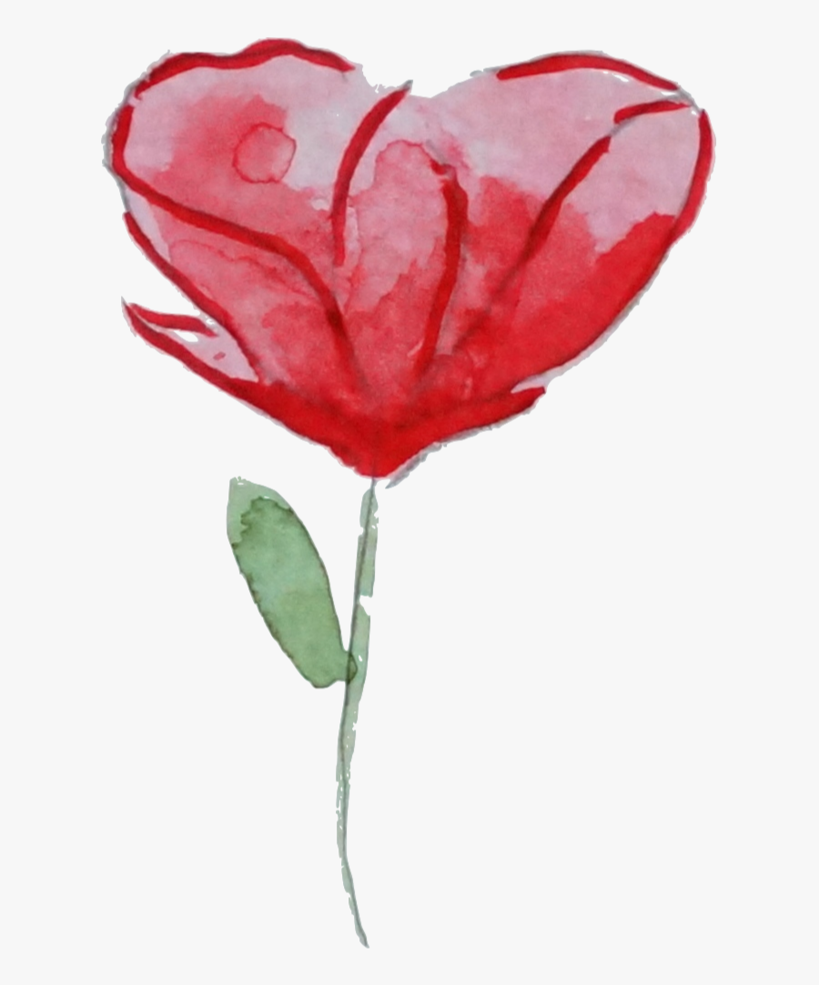 Flower Garden Roses Watercolor Painting Poppy Clip - Garden Roses, Transparent Clipart