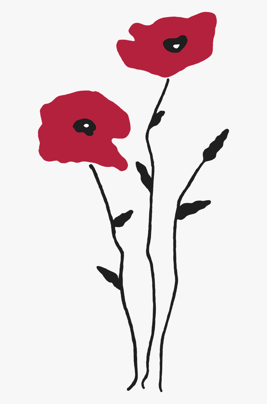 Poppy Fields Free Vector Graphics Free Picture - Poppy, Transparent Clipart