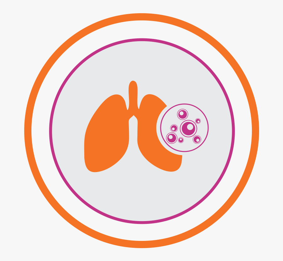 Lung Transplant, Transparent Clipart