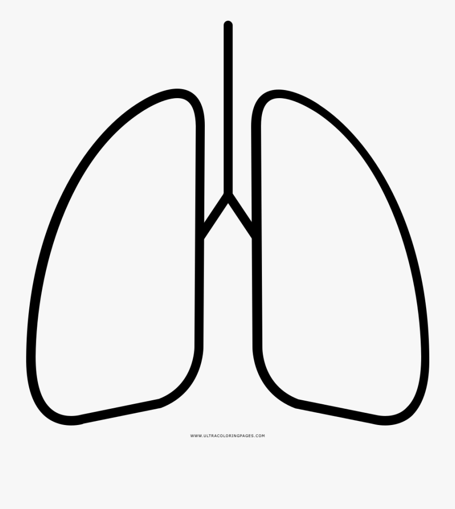 Lungs Coloring Page - Pulmão Desenho Para Colorir, Transparent Clipart