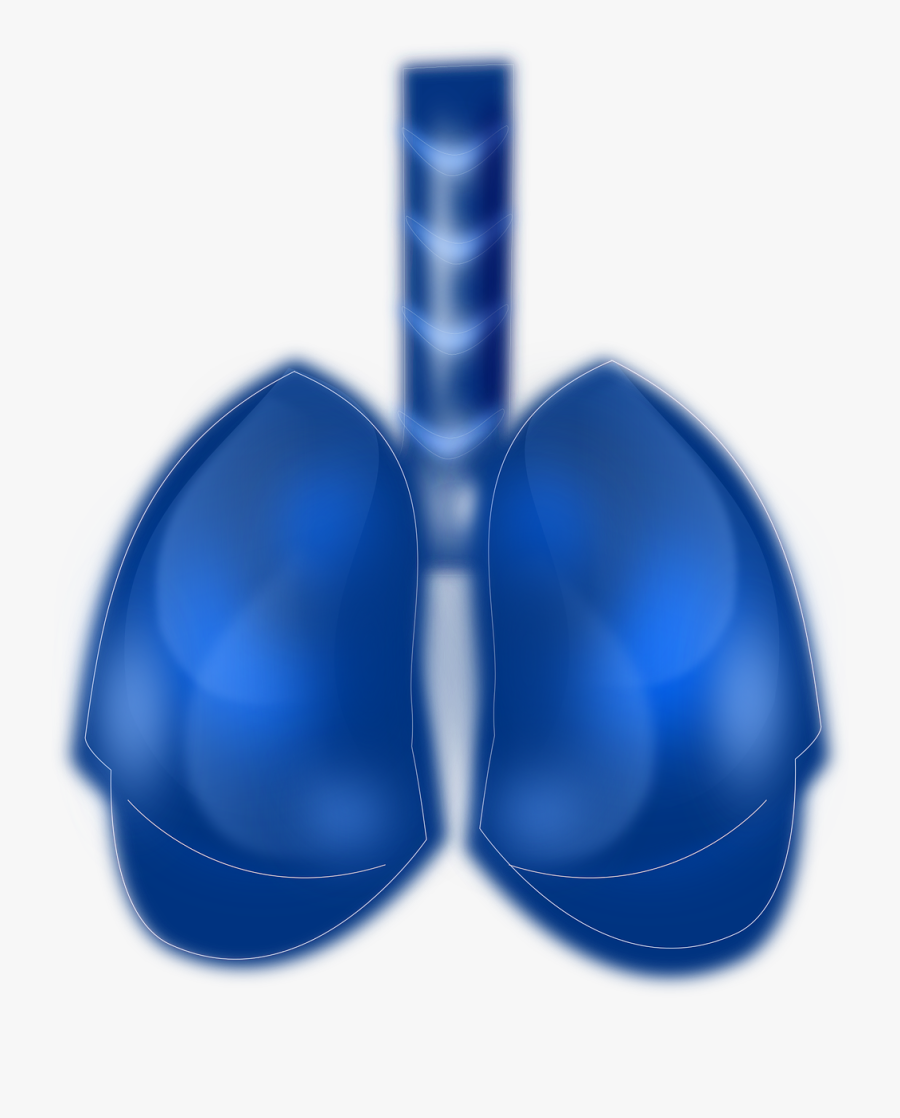 Blue Lungs Human Png, Transparent Clipart