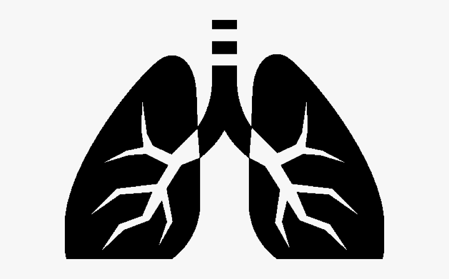 Lungs Png Transparent Images - Lung Cancer Clinical Trials, Transparent Clipart