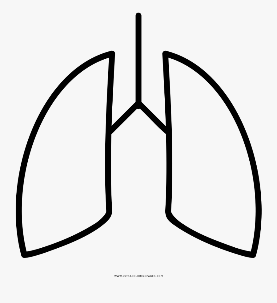 Lungs Coloring Page - Line Art, Transparent Clipart