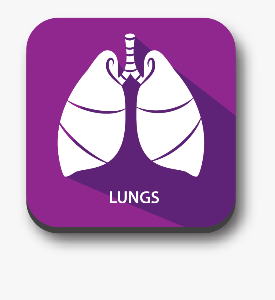 Bronquiectasia Cirurgia, Transparent Clipart