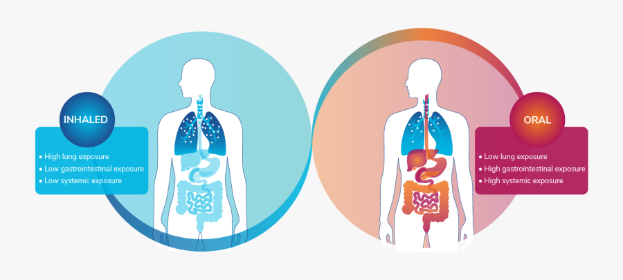 Advantages Of Inhaled Therapeutics Infographic - Illustration, Transparent Clipart