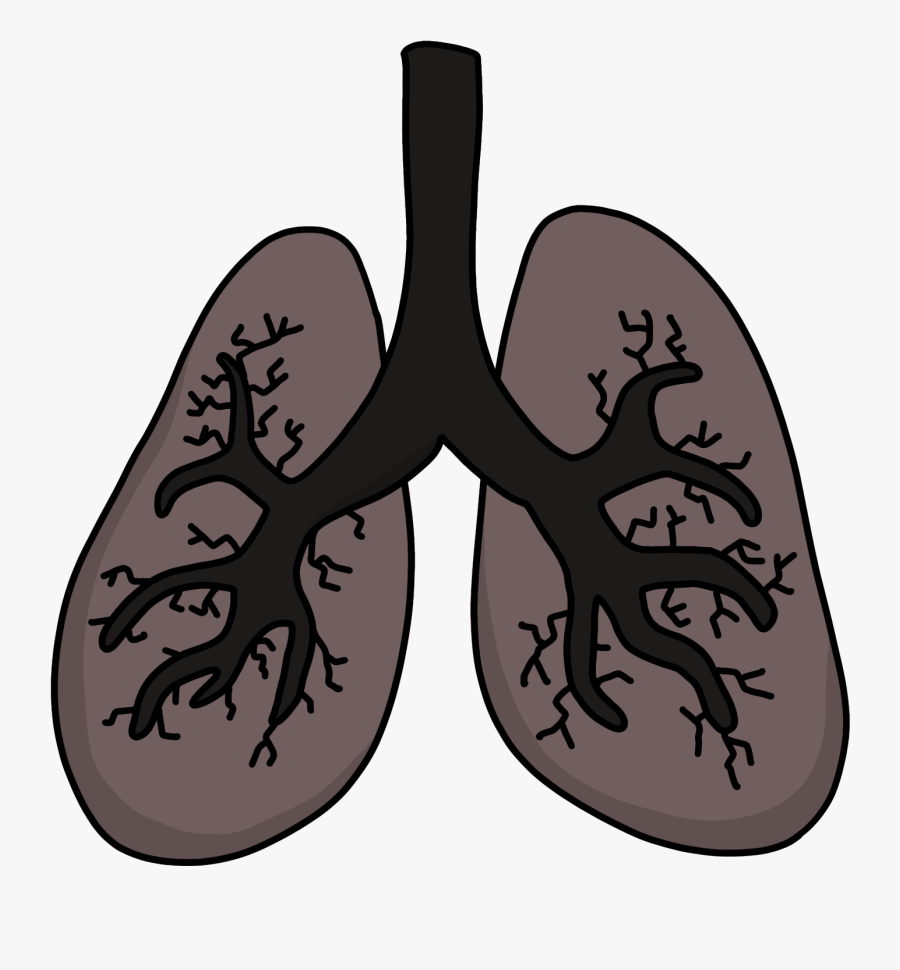 Illustration, Transparent Clipart