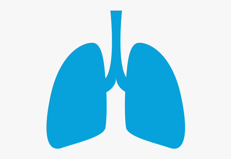 Lungs Clip Art, Transparent Clipart