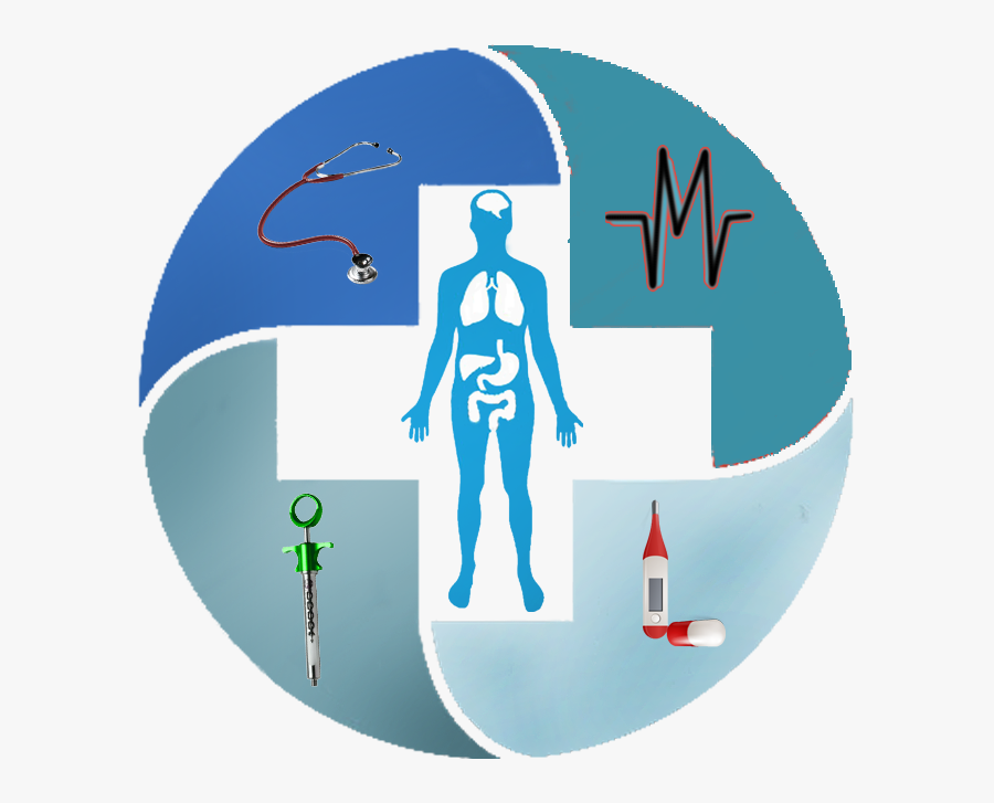 Stem Cell Research & Therapy, Transparent Clipart