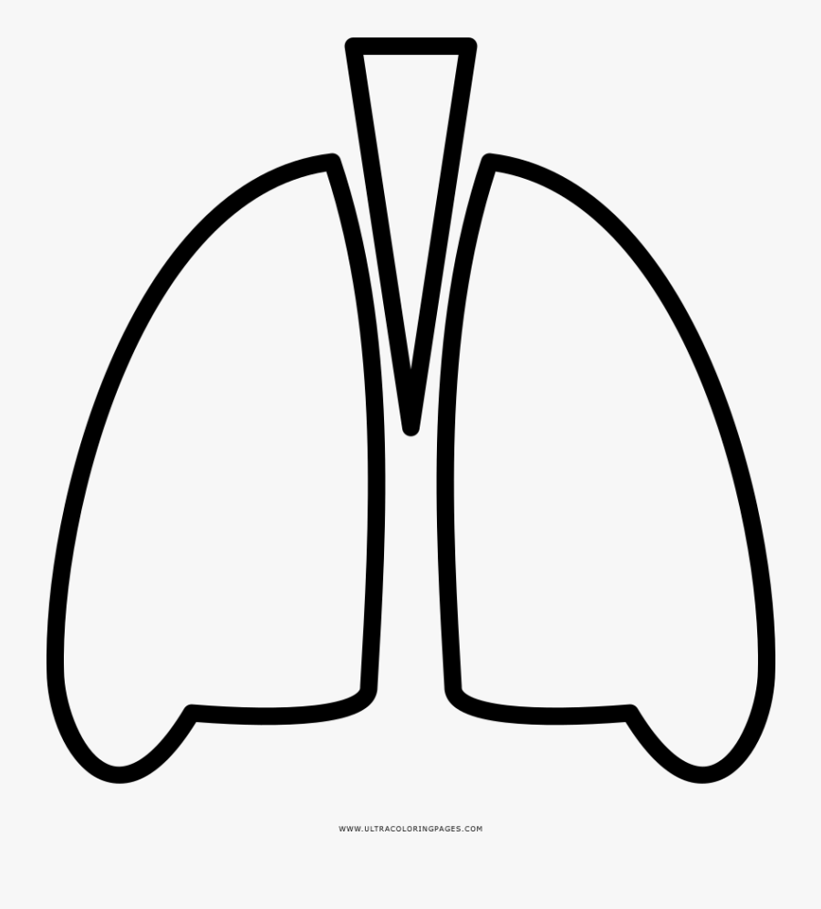 Lungs Coloring Page - Line Art, Transparent Clipart