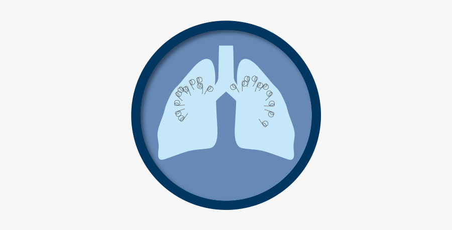 Graphic Design, Transparent Clipart