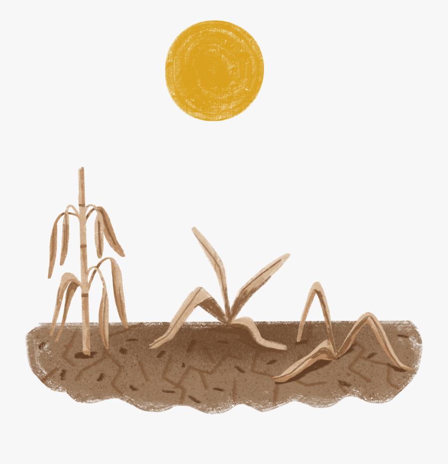 Coin, Transparent Clipart