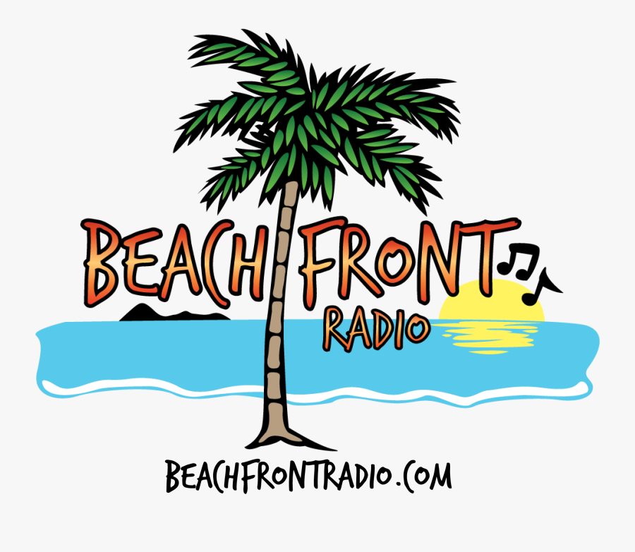 Attalea Speciosa, Transparent Clipart