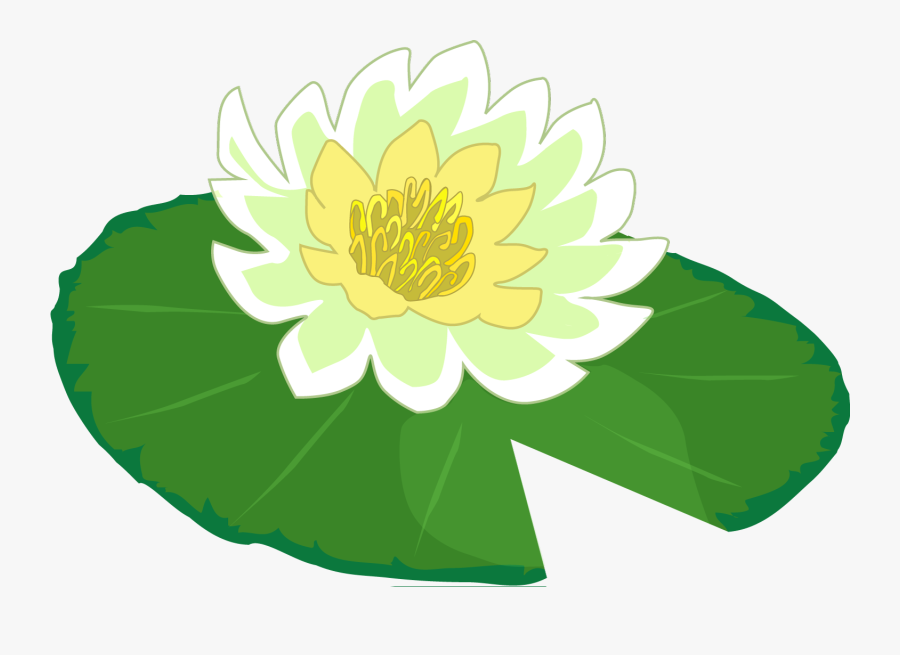 Lily Pads Clip Art - Cute Lily Pad Clipart, Transparent Clipart