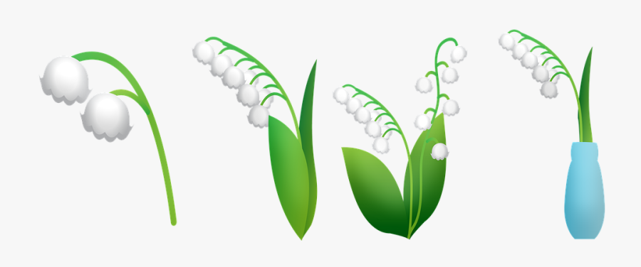 Lily Of The Valley, Lily In Vase - Lirio De Los Valles Png, Transparent Clipart