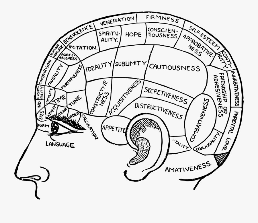 Psychology Drawing At Getdrawings - My Brain, Transparent Clipart