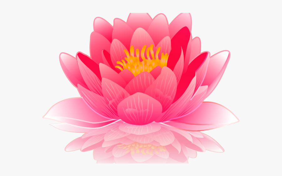 Lily Pad Clipart Simple Picture - Clipart Transparent Water Lily, Transparent Clipart