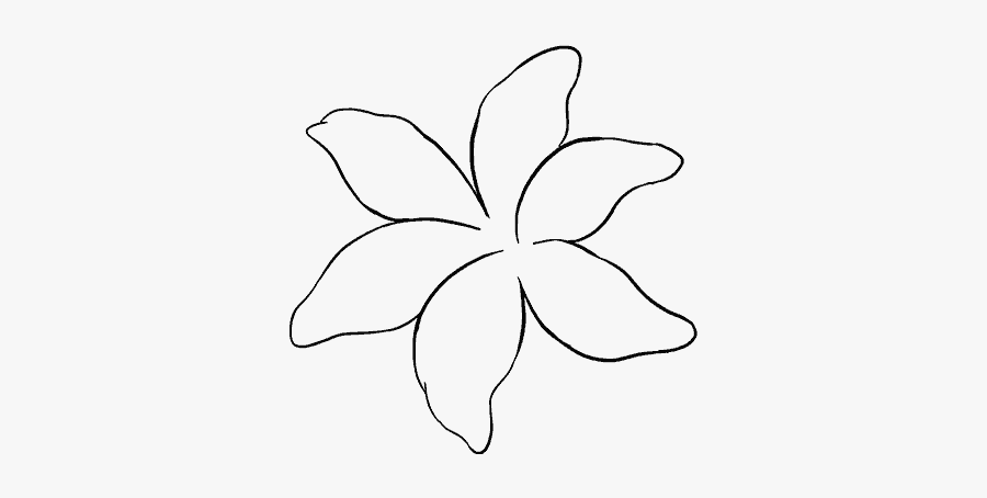 How To Draw A Lily Step - Line Art, Transparent Clipart