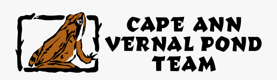 Poster, Transparent Clipart