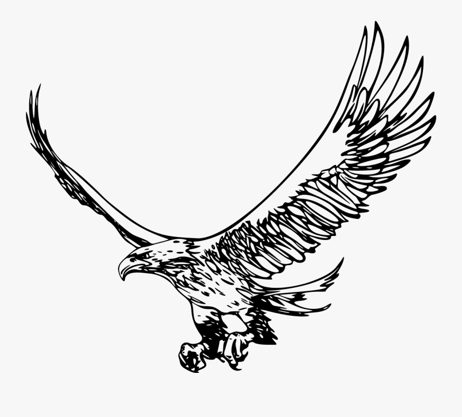 The Shopping Cart - Outline Of Flying Eagle, Transparent Clipart