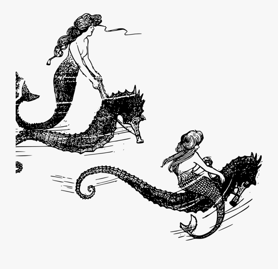 Mermaid, Transparent Clipart