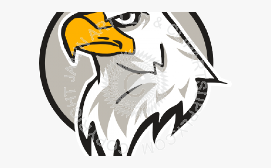 Eagle Head, Transparent Clipart