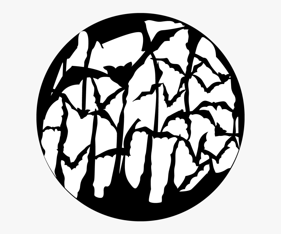 Circle, Transparent Clipart