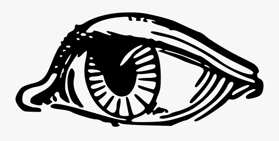 Eyeball - Photography, Transparent Clipart
