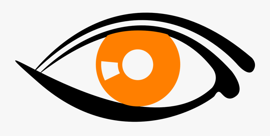 Eye, Pupil, Iris, Retina, Eyeball, Human, Look, Optical - Eye Clipart Png, Transparent Clipart