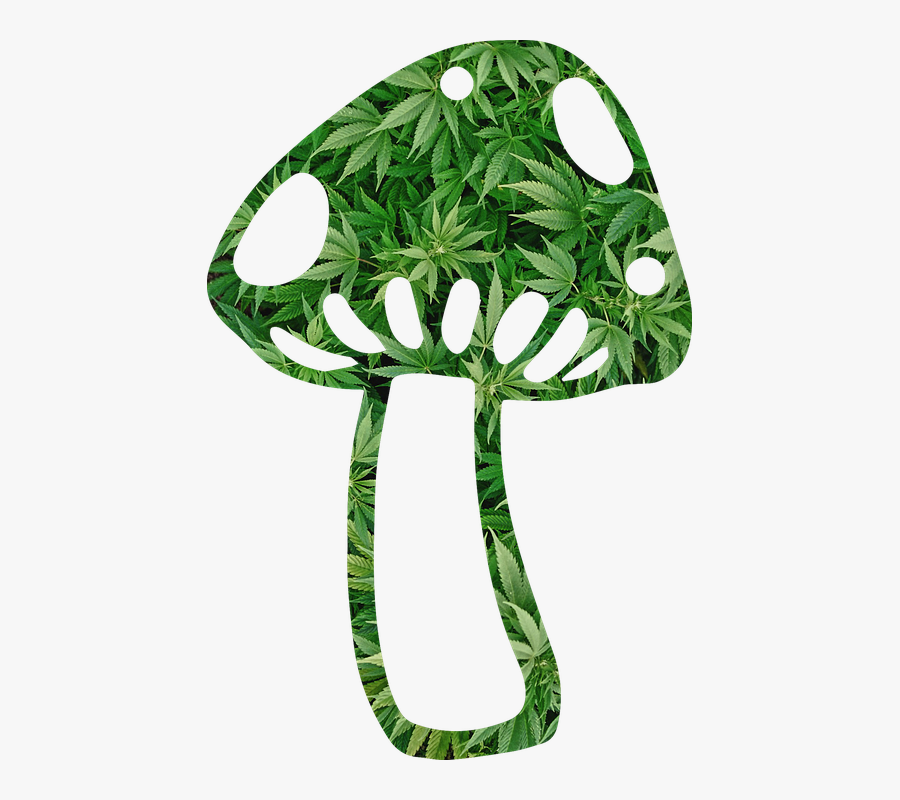 Transparent Marijuana Clipart - Mushroom Marijuana, Transparent Clipart