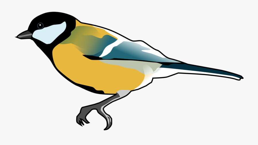 Old World Flycatcher,european Robin,sparrow - Great Tit Cartoon, Transparent Clipart