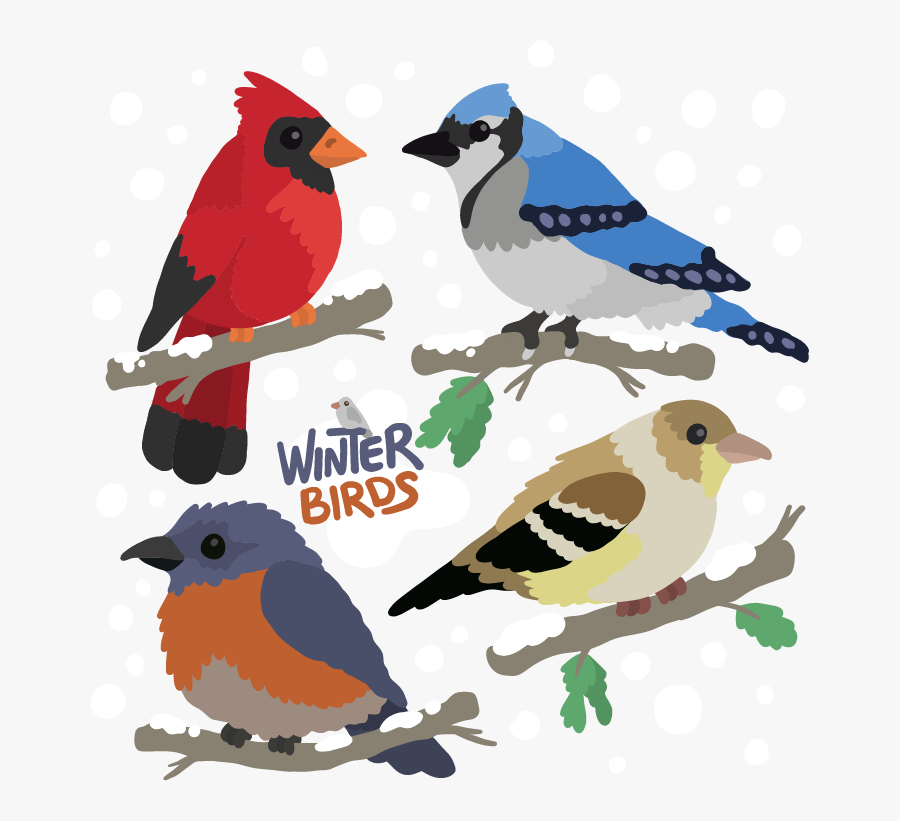 Transparent Bird On Branch Clipart - Northern Cardinal, Transparent Clipart
