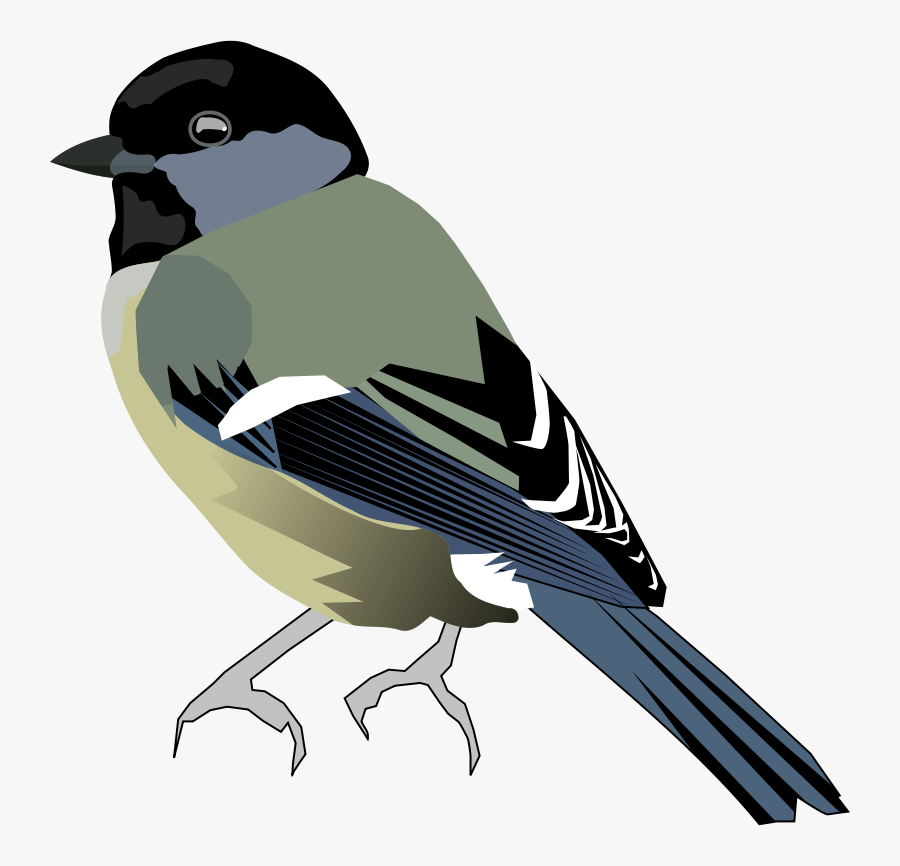 Perching Bird,eurasian Magpie,finch - Black Capped Chickadee Bird Clipart, Transparent Clipart