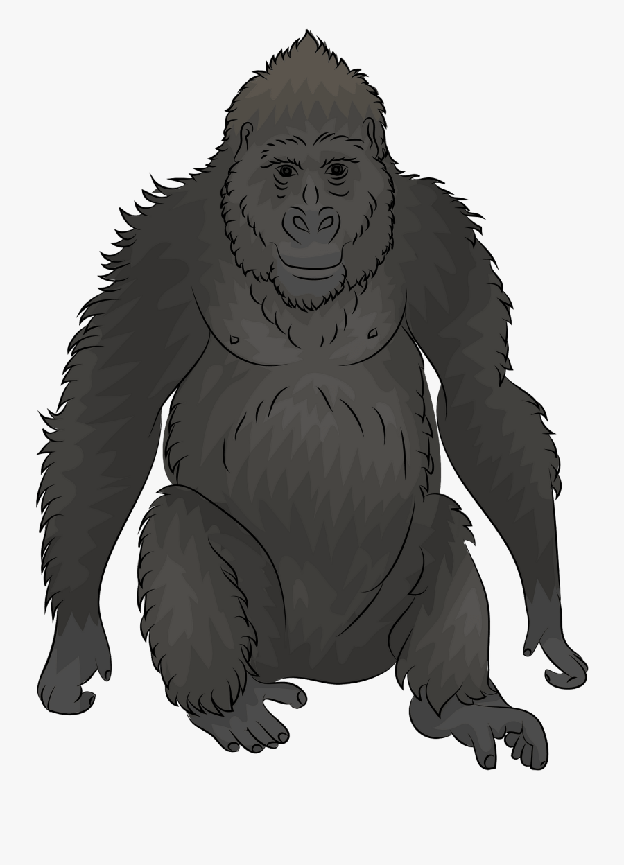 Macaque, Transparent Clipart