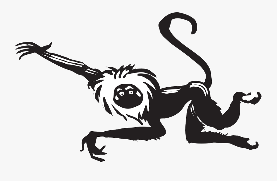 Monkey, Black, Leaping, Animal, Tail, Fur, Wildlife - Tribal Monyet, Transparent Clipart