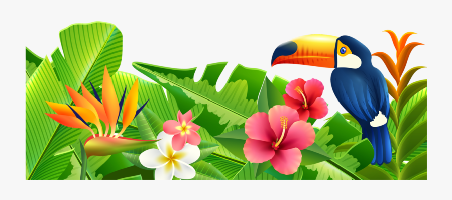 Jpg Black And White Download Summer Png Transparent - Transparent Background Summer Clipart, Transparent Clipart