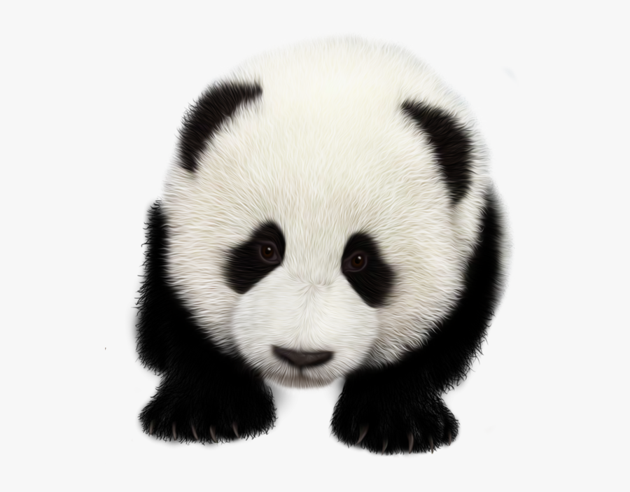 Dile No Al Racismo, Transparent Clipart