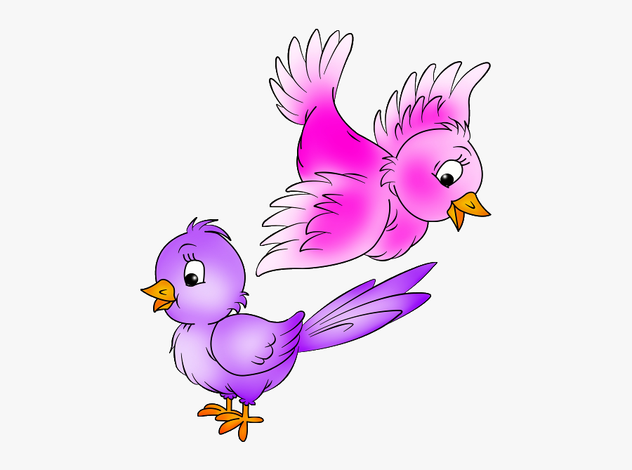Cartoon Image Of Birds, Transparent Clipart