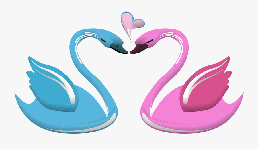 Pink And Blue Love Birds, Transparent Clipart