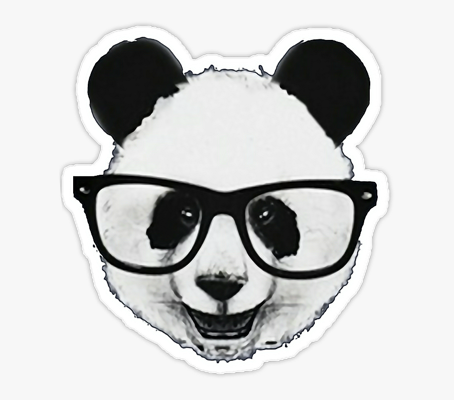 #panda #pandas #pandalove #bear #bears #oso #summer - Imagenes De Panda Con Lentes, Transparent Clipart