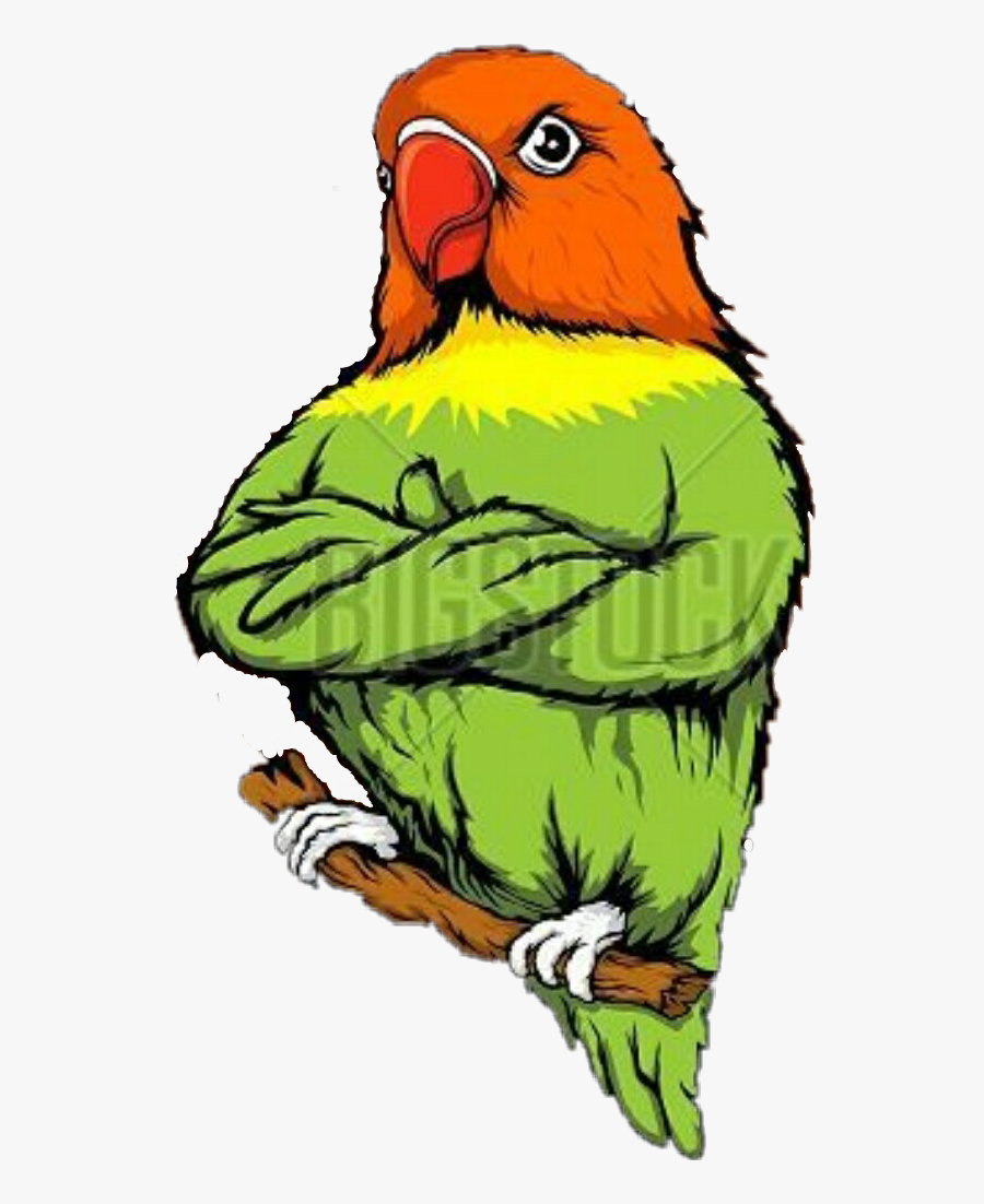 45 Gambar Logo Lovebird Animasi Terbaru Koleksi Gambar Logo