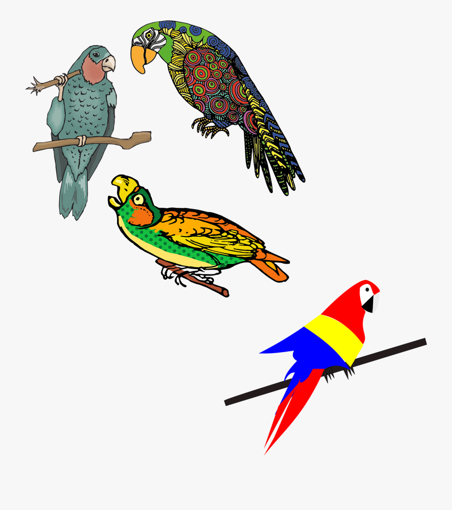 Clip Art Lovebird Parrot Colored Flock - Parrot, Transparent Clipart