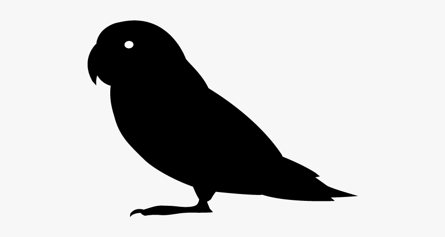 Parakeet Silhouette Clipart, Transparent Clipart