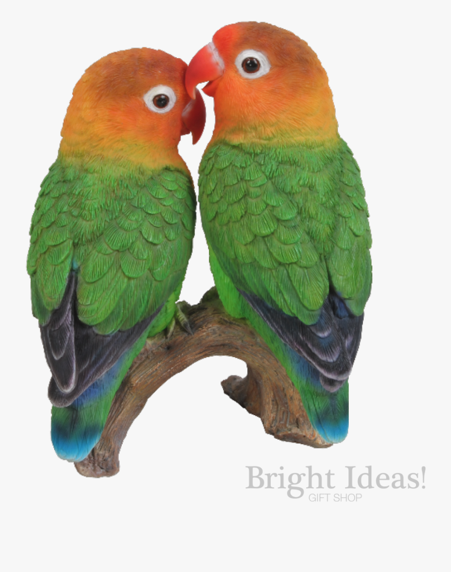 Love Birds Exotic True Life Vivid Arts Lovebirds - Deko Papageien, Transparent Clipart