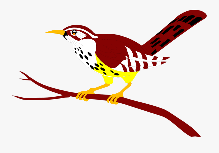 Free Stock Photos - Bird Perched On A Branch Clipart, Transparent Clipart