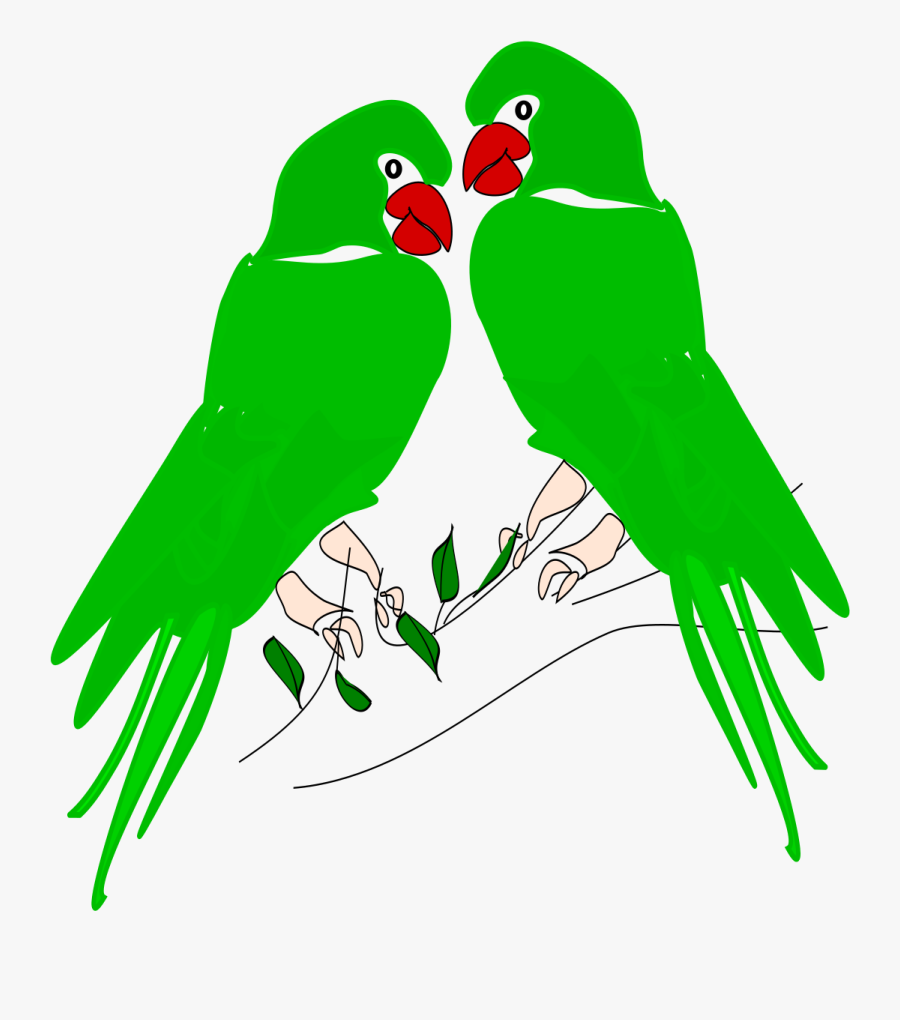 Parrot, Transparent Clipart